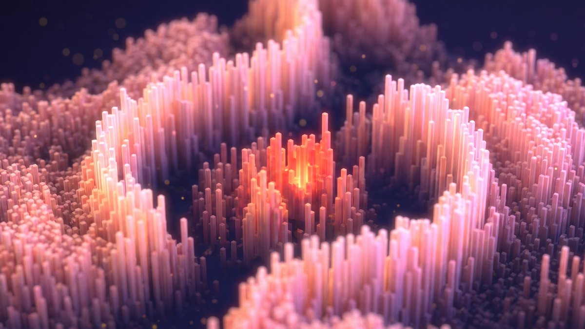 第 1 张图，共 1 张